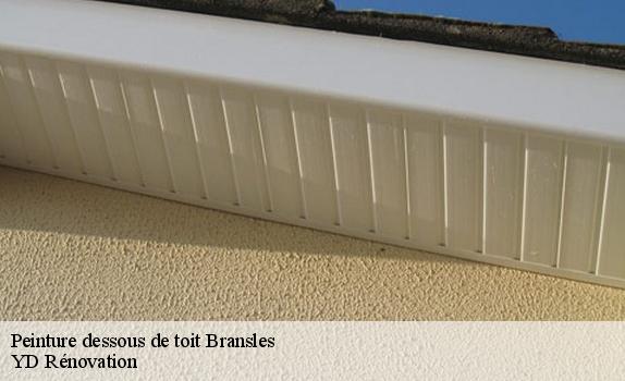 Peinture dessous de toit  bransles-77620 YD Rénovation