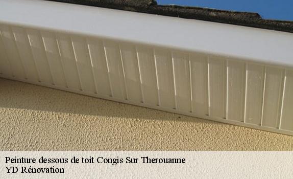 Peinture dessous de toit  congis-sur-therouanne-77440 YD Rénovation