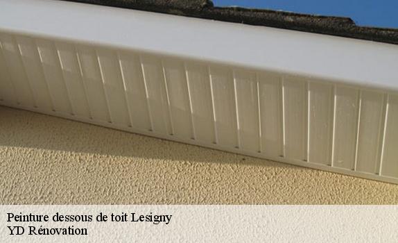 Peinture dessous de toit  lesigny-77150 YD Rénovation