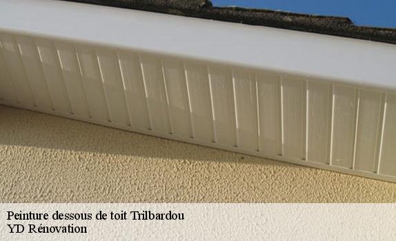 Peinture dessous de toit  trilbardou-77450 YD Rénovation