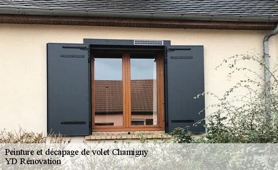 Peinture et décapage de volet  chamigny-77260 YD Rénovation