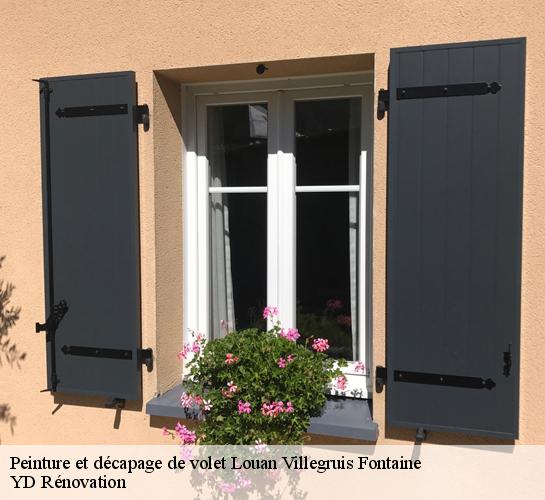 Peinture et décapage de volet  77560