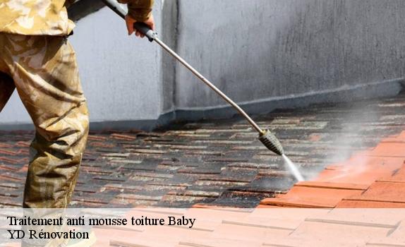 Traitement anti mousse toiture  baby-77480 YD Rénovation