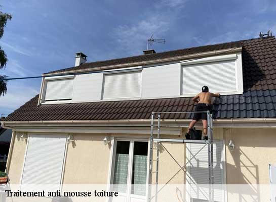 Traitement anti mousse toiture  77760