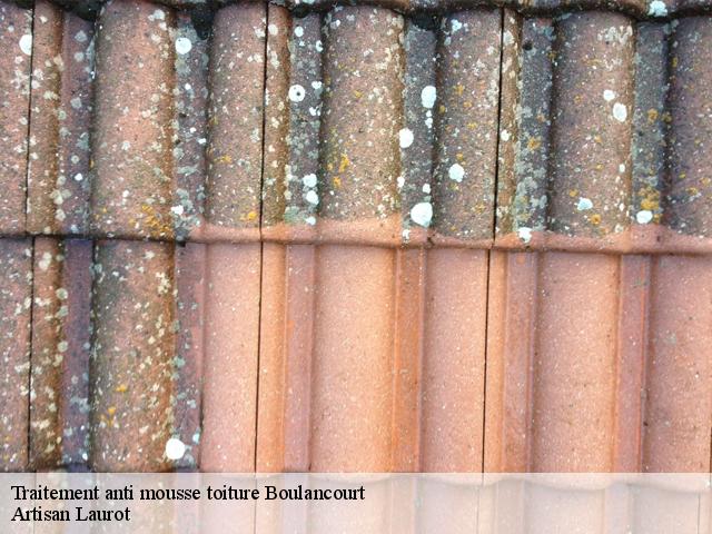 Traitement anti mousse toiture  boulancourt-77760 Artisan Laurot