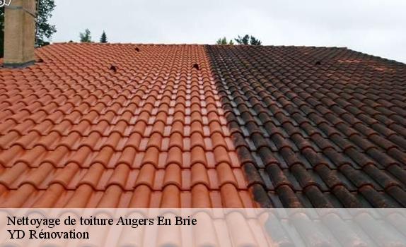 Nettoyage de toiture  augers-en-brie-77560 YD Rénovation