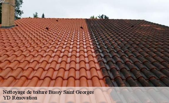 Nettoyage de toiture  bussy-saint-georges-77600 YD Rénovation