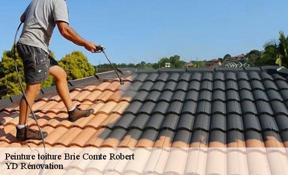 Peinture toiture  brie-comte-robert-77170 YD Rénovation