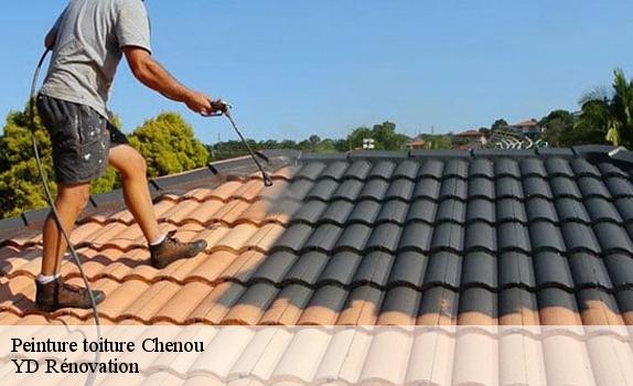 Peinture toiture  chenou-77570 YD Rénovation