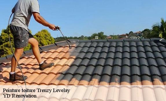 Peinture toiture  treuzy-levelay-77710 YD Rénovation