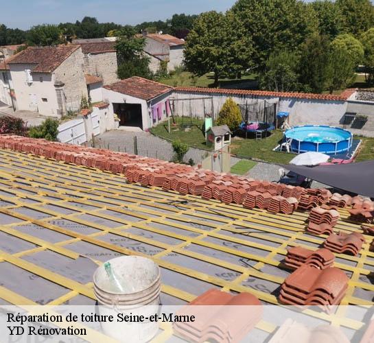 Réparation de toiture Seine-et-Marne 