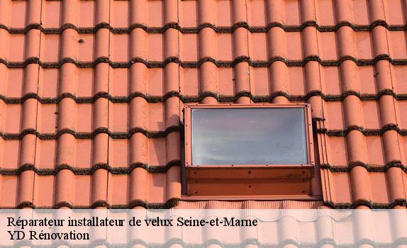 Réparateur installateur de velux 77 Seine-et-Marne  YD Rénovation