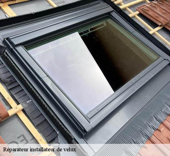 Réparateur installateur de velux Seine-et-Marne 