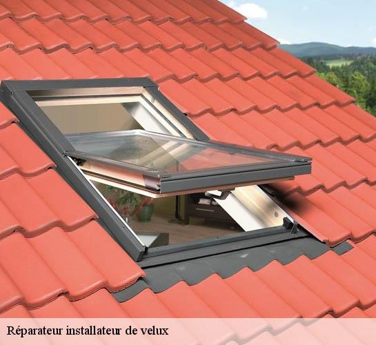 Réparateur installateur de velux Seine-et-Marne 