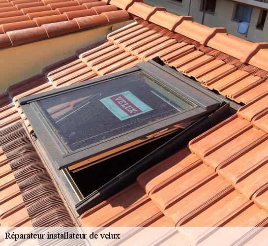 Réparateur installateur de velux Seine-et-Marne 