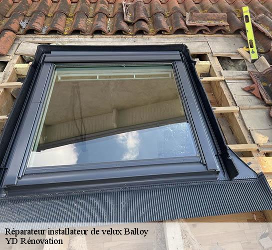 Réparateur installateur de velux  77118